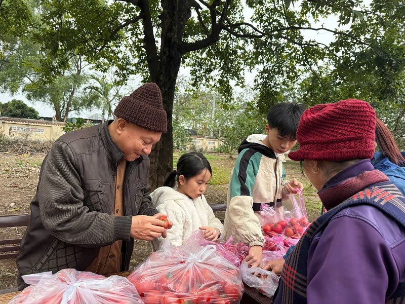 Chùa Linh Thông (Đông Anh): Nét đẹp giao thoa giữa lễ hội truyền thống và tín ngưỡng Phật giáo ảnh 3