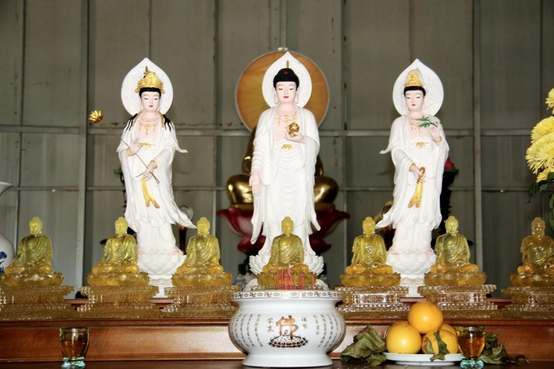 Kim Quang Minh Tự: Ngôi chùa còn non trẻ trên vùng rừng rú núi đồi ảnh 6