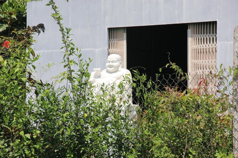 Kim Quang Minh Tự: Ngôi chùa còn non trẻ trên vùng rừng rú núi đồi ảnh 5