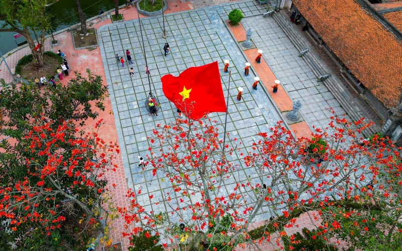 Hoa gạo đỏ rực bên ngôi chùa nghìn năm tuổi ở Hà Nội ảnh 1