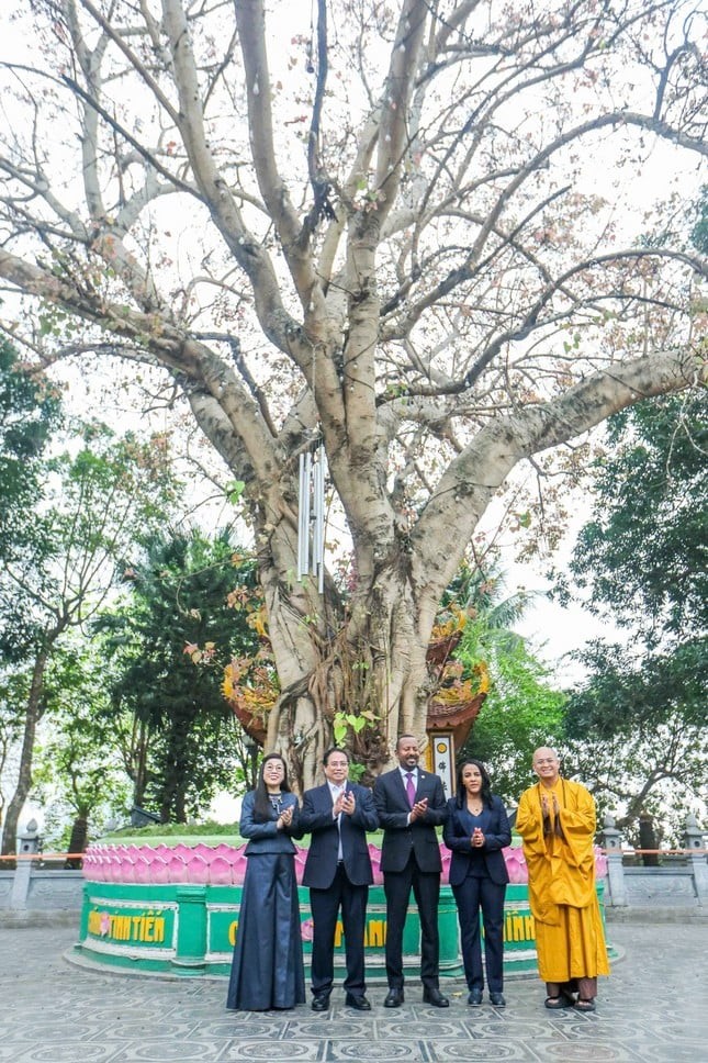 Thủ tướng Phạm Minh Chính cùng Thủ tướng Ethiopia thăm chùa Trấn Quốc ảnh 2
