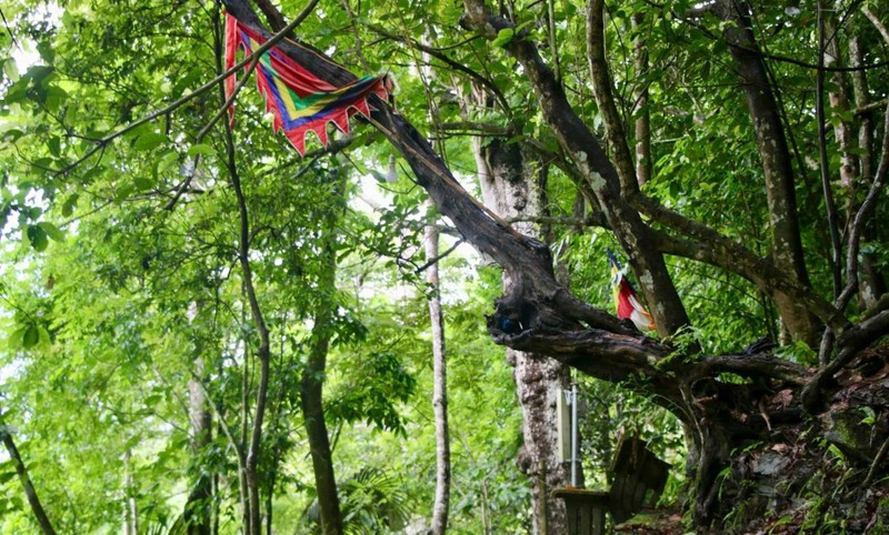 Chùa Thạch Long: Biểu tượng văn hóa tâm linh, lịch sử ở Bắc Kạn ảnh 4