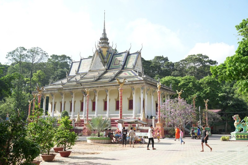 Chiêm ngưỡng chùa Hang hàng trăm tuổi giữa 'rừng' cây cổ thụ ảnh 3