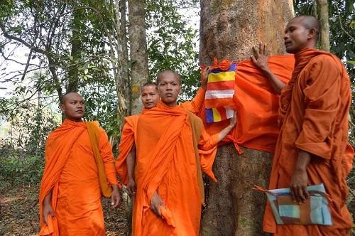 Các nhà Sư tổ chức quy y cho cây cổ thụ bảo vệ rừng ở Campuchia