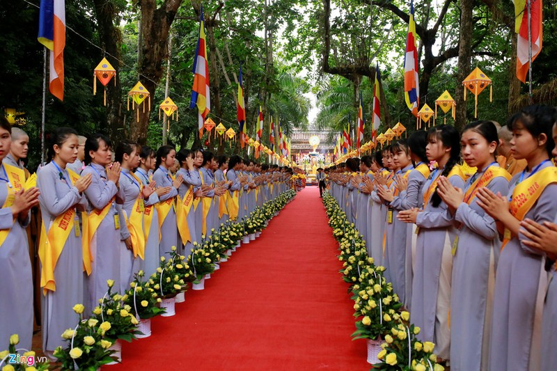 Phóng sinh ở Hà Nội, Sài Gòn, rước Phật tại Huế ngày Phật đản - ảnh 10