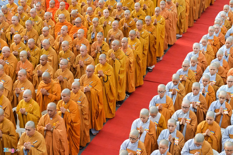 Phóng sinh ở Hà Nội, Sài Gòn, rước Phật tại Huế ngày Phật đản - ảnh 5