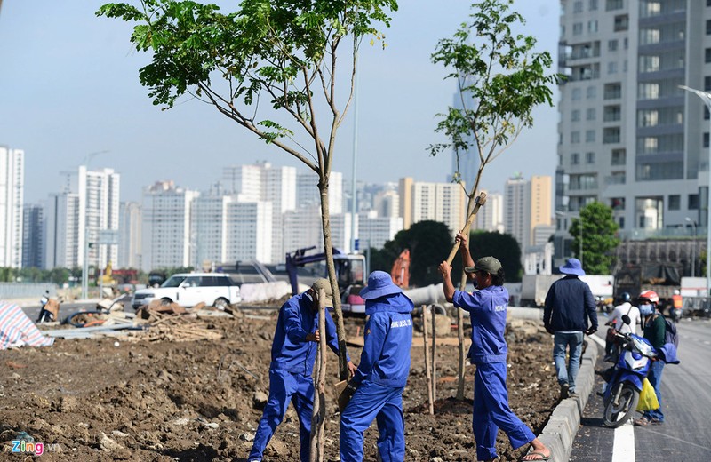 Thông xe cây cầu 500 tỷ qua đảo Kim Cương ở Sài Gòn - ảnh 6