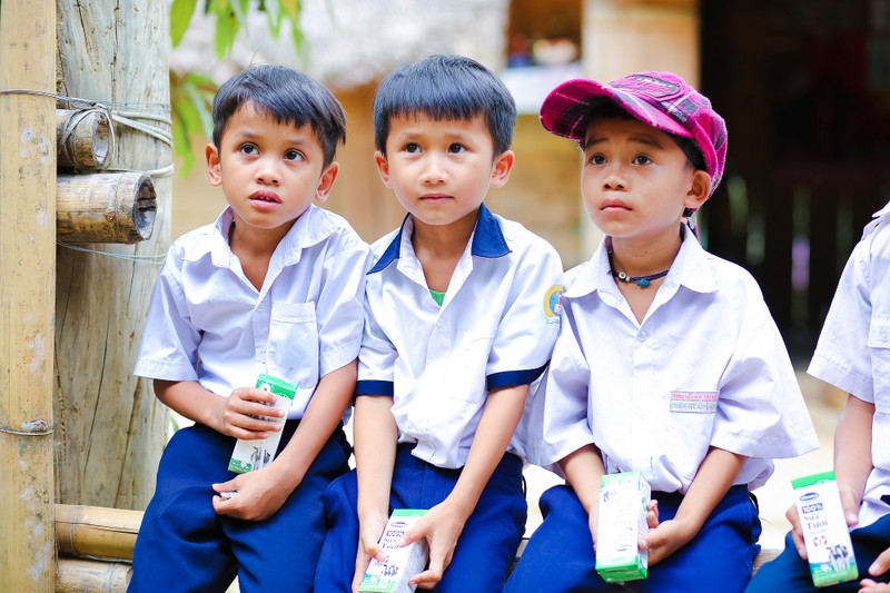 Quảng Nam - Nỗ lực để đưa sữa lên trường học vùng cao - ảnh 2