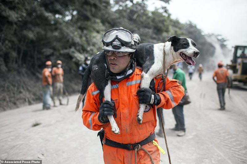 Rescue operators said after 72 hours there was virtually no chance of finding anyone else aliveÂ