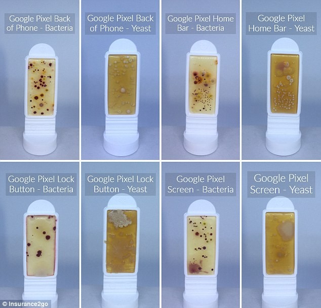For the Google Pixel phone, the screen again had the highest levels of infection, with 12 CFU of bacteria present (bottom row, second from rightÂ