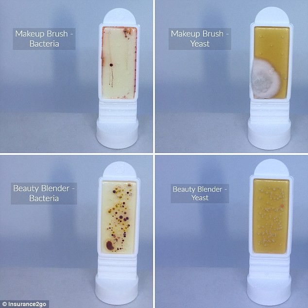 Meanwhile, the study found that a beauty blender had 24 CFU per cm2 of bacteria and yeast (bottom), while a make-up brush had 0.4 CFU with high levels of mouldÂ