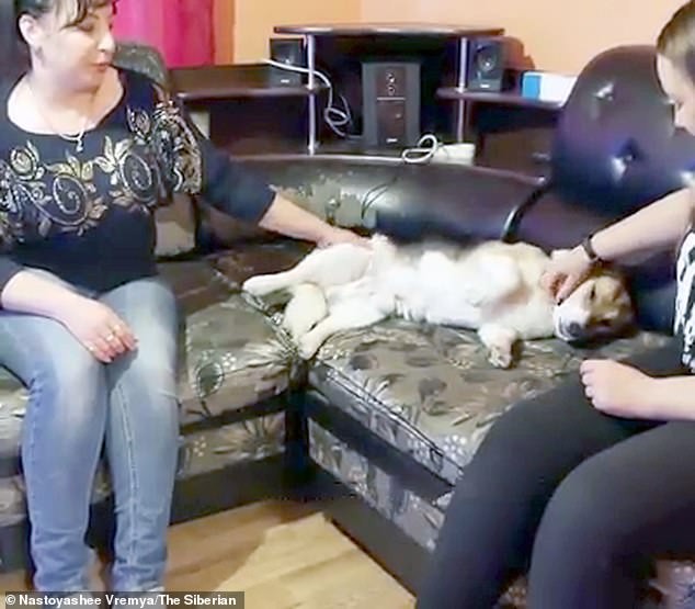 Hachiko at his new home with owner Irina (left), who said she admired him for his faithfulness