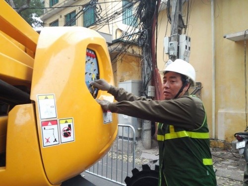 Hà Nội: Nhập máy, mời chuyên gia Singapore phục vụ cắt tỉa cây - ảnh 2