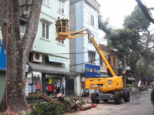 Hà Nội: Nhập máy, mời chuyên gia Singapore phục vụ cắt tỉa cây - ảnh 1