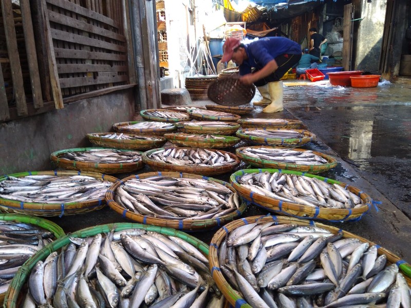 Những ánh lửa không tắt - ảnh 1
