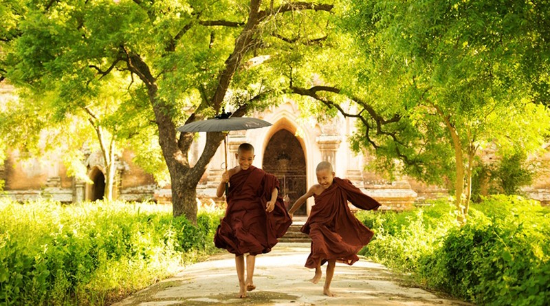 Hòa thượng Thích Thanh Từ: Người tu phải dẹp bỏ tham sân si - ảnh 1