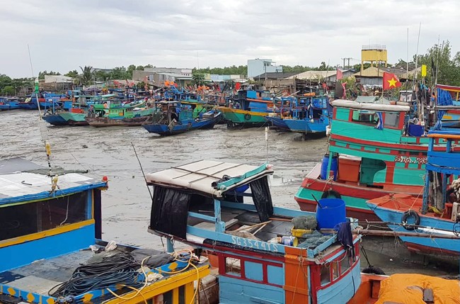 Phương tiện vào bờ neo đậu an toàn tại bến Cần Thạnh (huyện Cần Giờ). Ảnh: Mạnh Linh/Báo Tin tức