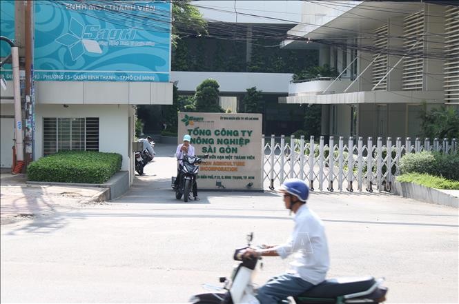 Trụ sở Tổng Công ty Nông nghiệp Sài Gòn Trách nhiệm hữu hạn Một thành viên (Sagri), nơi xảy ra những sai phạm trong việc cho thuê đất công sai quy định. Ảnh: Trần Xuân Tình/TTXVN