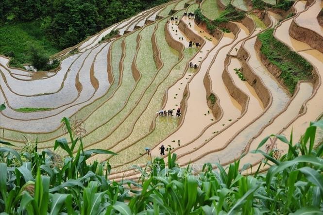 Vẻ đẹp thơ mộng trên các thửa ruộng bậc thang huyện Mù Cang Chải, tỉnh Yên Bái trong mùa nước đổ. Ảnh tư liệu: Thanh Hà/TTXVN