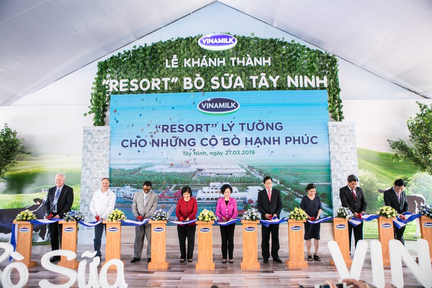 Vinamilk khánh thành “Resort” bò sữa tại Tây Ninh – môi trường sống lý tưởng cho những cô bò hạnh phúc