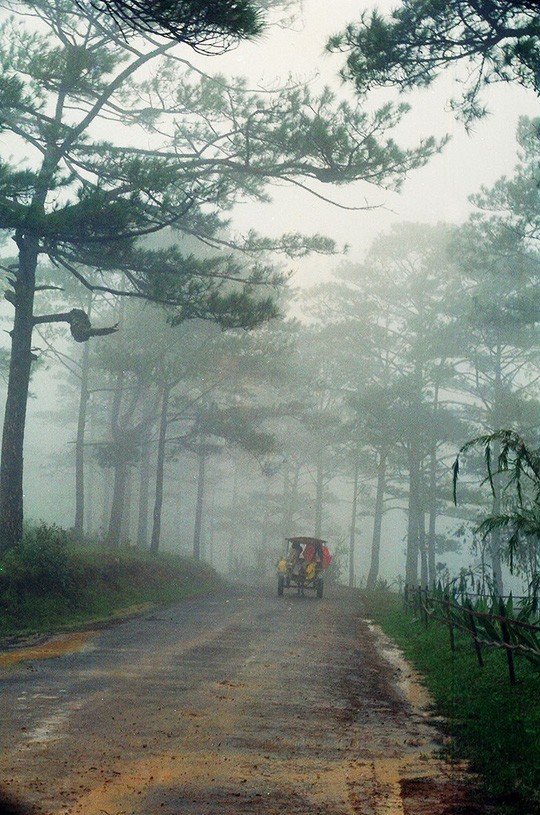 Đà Lạt những năm 1980. Ảnh: MPK