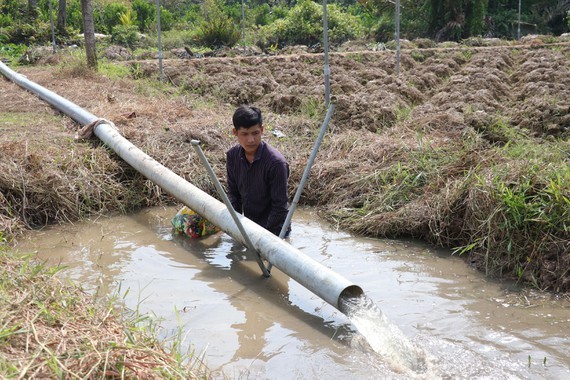 SGK Toán 1 giáo sư chủ trì biên soạn có hay không sách tham khảo cho học sinh lớp 1?