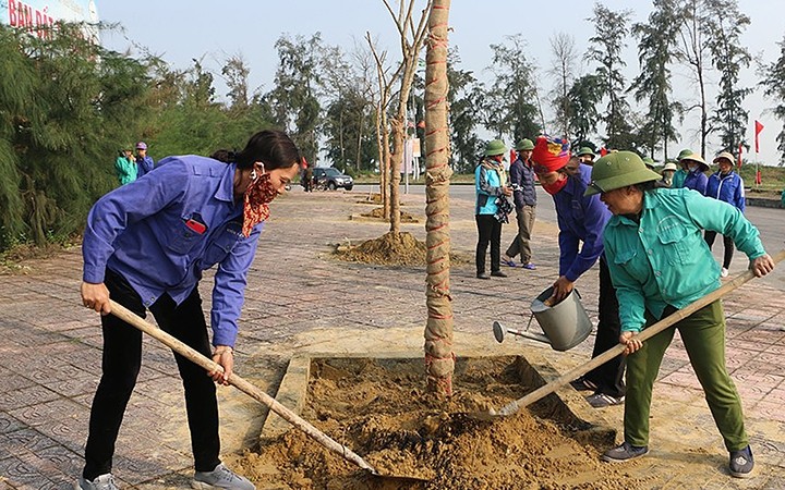 Người dân trồng cây trên vỉa hè đường Bình Minh, thị xã Cửa Lò (tỉnh Nghệ An). Ảnh: NGUYỄN HẢI