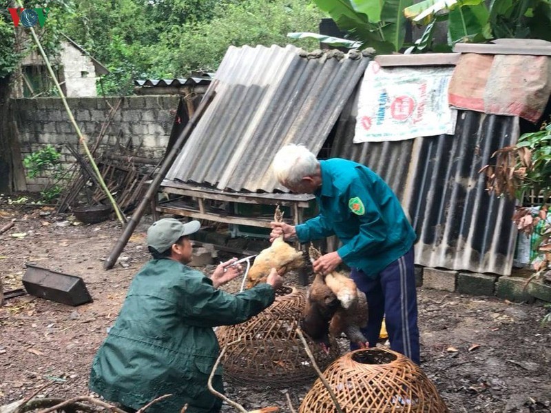 Huyện Nông Cống đang tích cực tiêm phòng gia cầm.