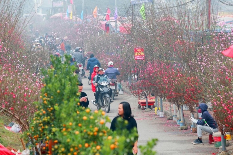 Thời tiết Tết Nguyên đán Tân Sửu: Bắc Bộ trời nắng, Nam Bộ đêm có mưa rào