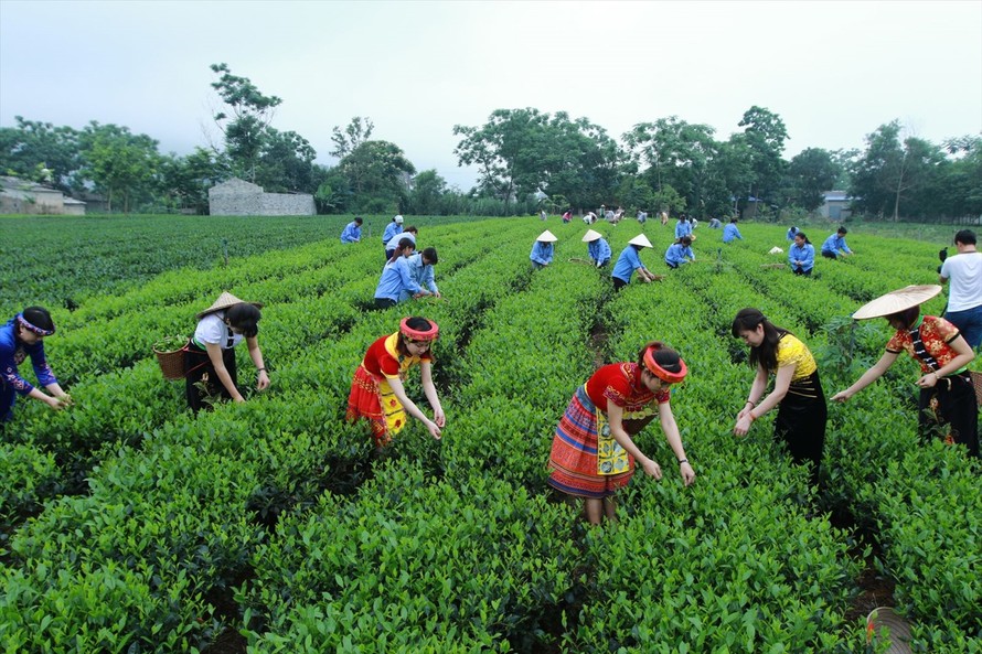 Khơi dậy nguồn lực phát triển vùng Trung du và miền núi phía Bắc