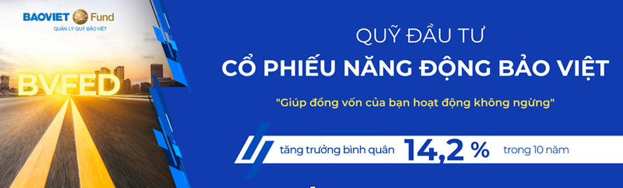 Quỹ đầu tư cổ phiếu Năng động Bảo Việt: 10 năm và hơn thế nữa