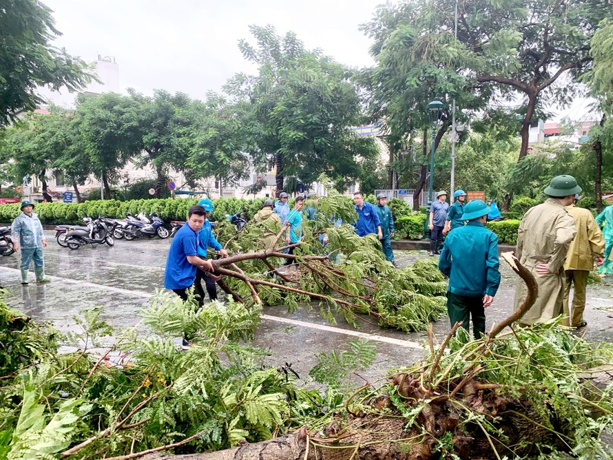 Hà Nội tập trung lực lượng thu dọn, khôi phục cây xanh gãy đổ do bão số 3