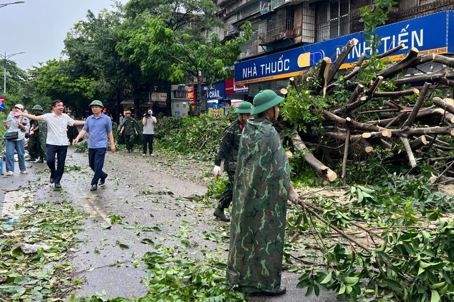 Trên 25.000 cây xanh ở Hà Nội gãy đổ do bão số 3