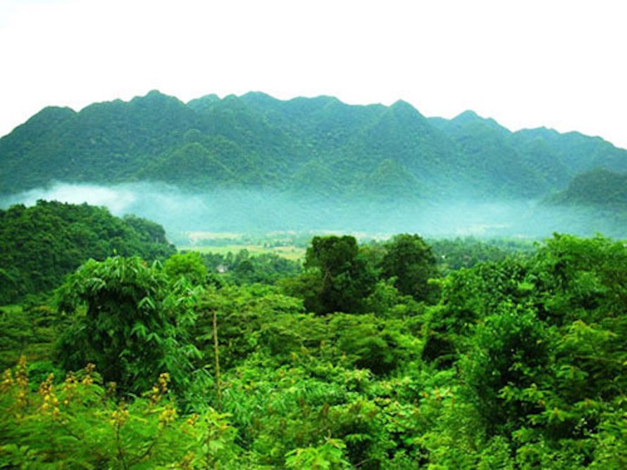 Khu bảo tồn thiên nhiên Mường La. (Ảnh minh hoạ)