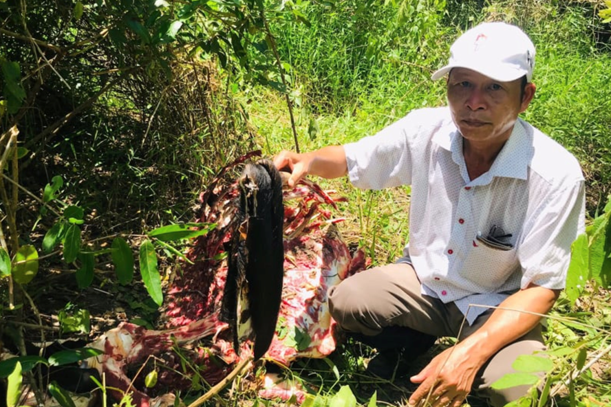 Hiện trường vụ việc. (Ảnh: Lao động)