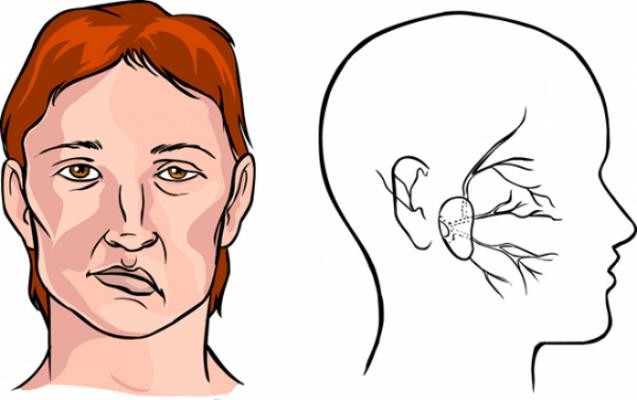 (Ảnh: Sức khoẻ & Đời sống)