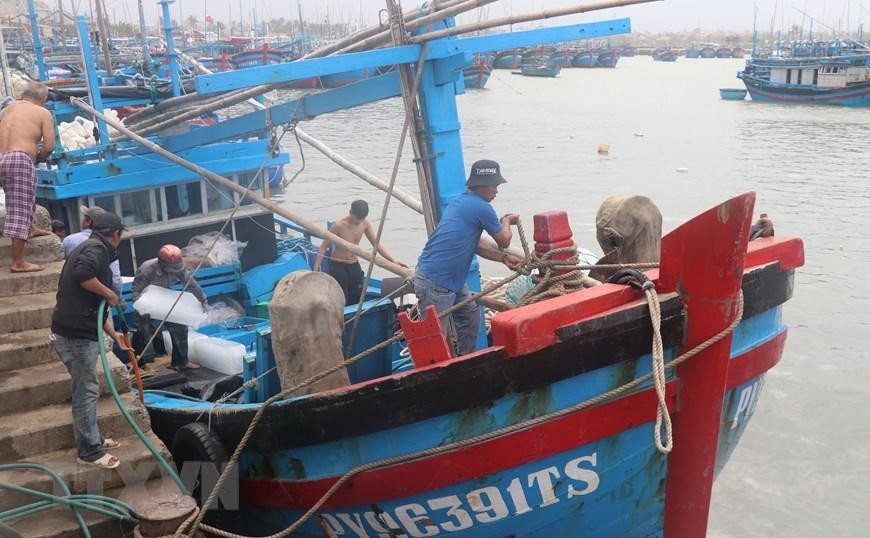 Tàu cá của ngư dân phường Phú Đông, Tuy Hoà, Phú Yên cập cảng Đông Tác tiếp nhiên liệu chuẩn bị cho chuyến đi kéo dài khoảng 20-25 ngày đánh bắt tại ngư trường Hoàng Sa. (Ảnh: Phạm Cường/TTXVN) 