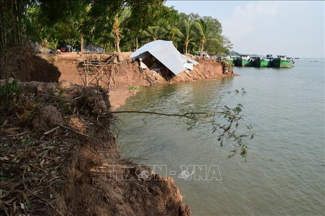 Hiện trường vụ sạt lở nghiêm trọng tại khu vực bờ sông Tiền, thuộc khóm Sở Thượng, phường An Lạc, thị xã Hồng Ngự, tỉnh Đồng Tháp. Ảnh (tư liệu): Chương Đài/TTXVN 