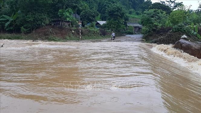 Ảnh minh họa: Hồng Ninh/TTXVN