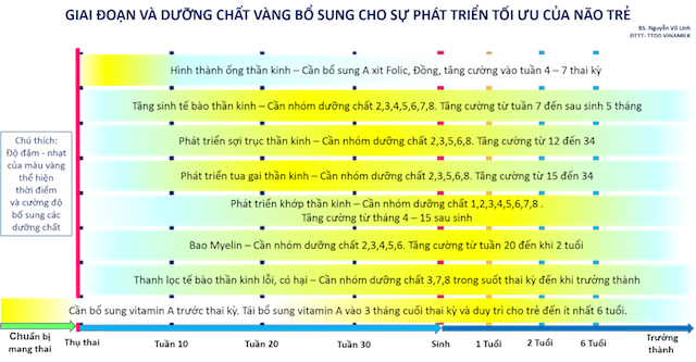 Dinh dưỡng vàng cho phát triến tối ưu não bộ của trẻ