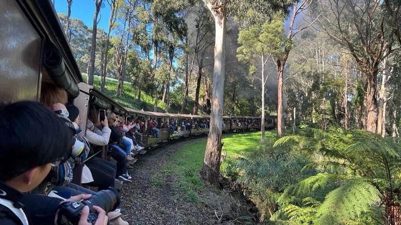 Du khách thích thú trải nghiệm đi tàu hơi nước hơn trăm năm tuổi Puffing Billy tại Melbourne 