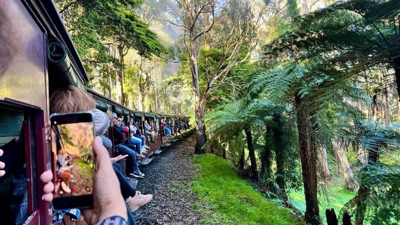 Puffing Billy Railway –Tàu lửa hơi nước trăm năm tuổi đáng đi nhất thế giới