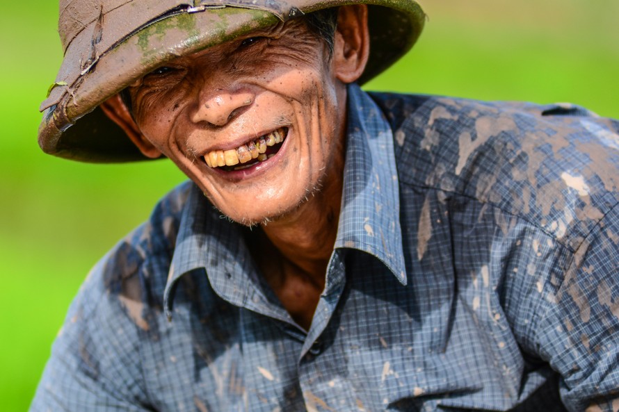 Những câu chuyện đời thường được mọi người đem ra đồng để cùng nhau chia sẻ, một không khí nhộn nhịp mặc cho mặt trời đã lên cao, nắng đã gắt. Không phải tự nhiên mà người ta gọi Thái Bình là “quê lúa”, không chỉ bởi vì sản lượng lúa gạo lớn mà còn bởi t