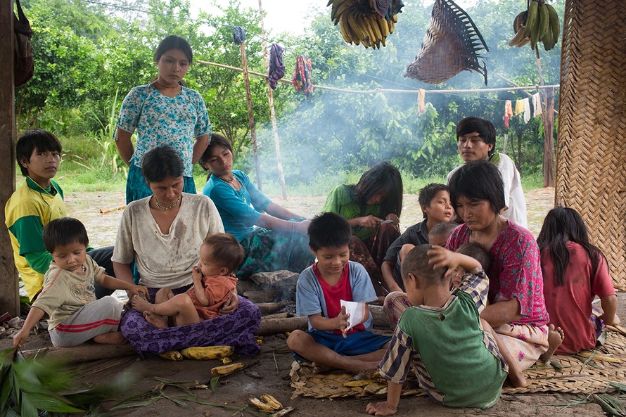 Người Tsimane sống trong những căn lều tự dựng trong rừng già, tránh xa cuộc sống hiện đại. (Nguồn: Getty).