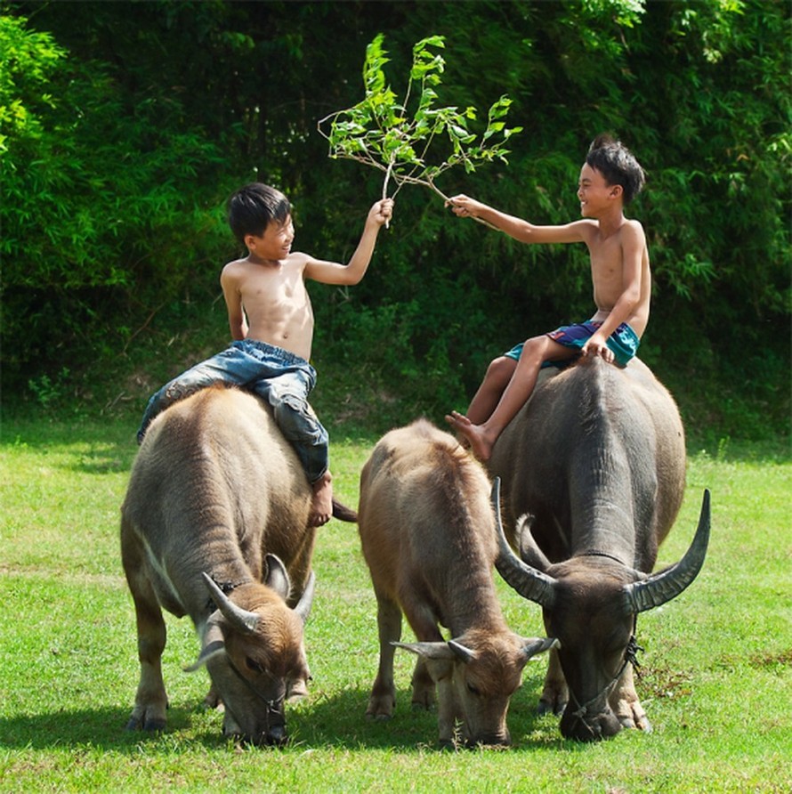 Quán Đồng vang