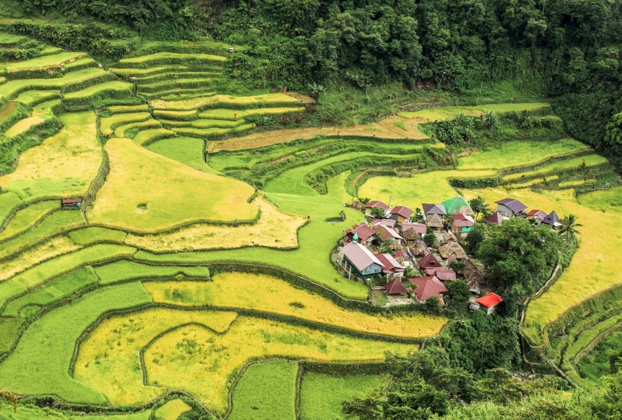 Ruộng bậc thang vùng Cordillera