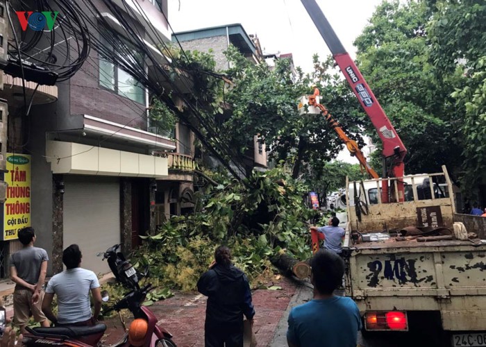 TP Lào Cai: Cây đổ ngổn ngang vì giông lốc dữ dội