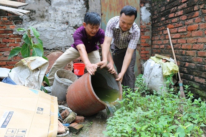 Hà Nội đã lập các đội xung kích diệt bọ gậy, loăng quăng (Ảnh minh họa)