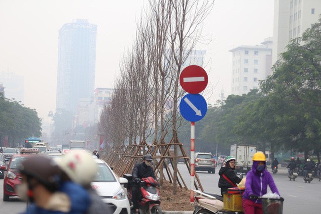 Phong lá đỏ 'đổ bộ' về Hà Nội