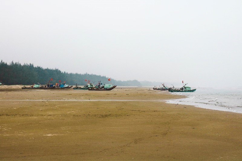 Từ khoảng 4h đến 6h sáng, hàng ngày có hàng chục thuyền nhỏ của ngư dân khai thác sứa biển trở về